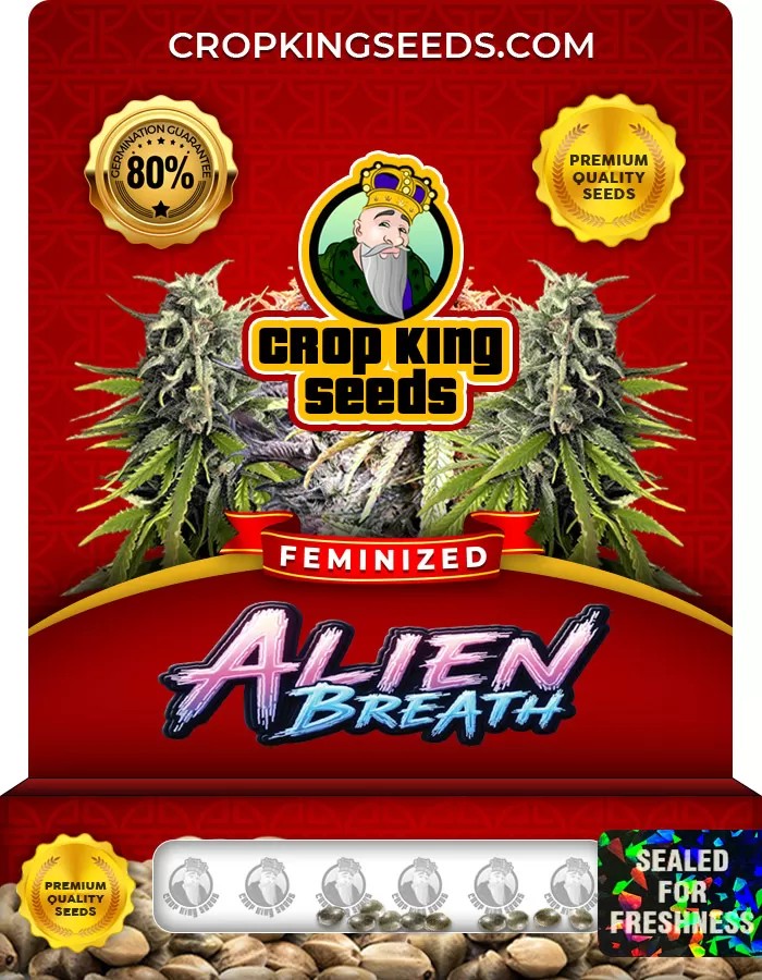 Alien Breath Feminized Marijuana Seeds
