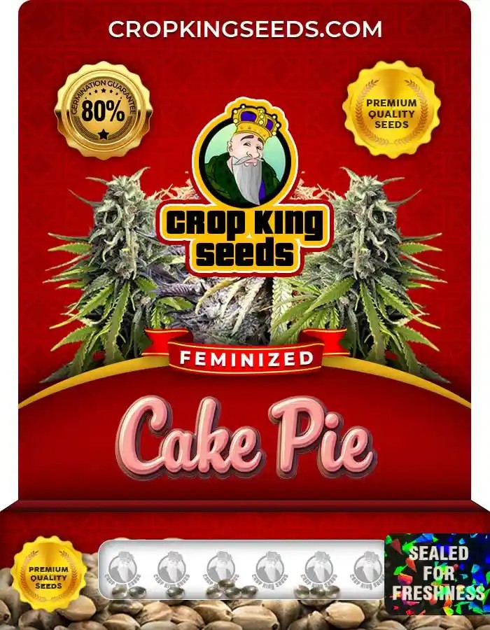 Cake Pie Feminized Seeds