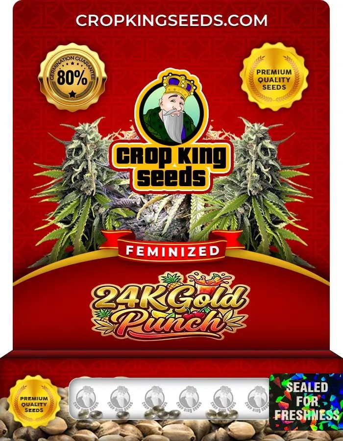 24K Gold Punch Strain Feminized Seeds