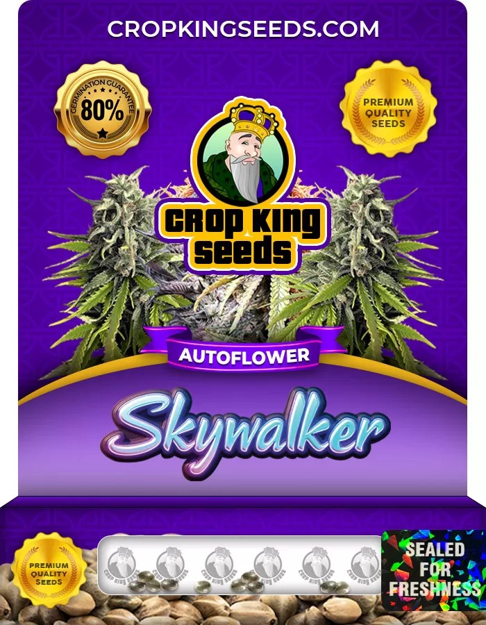 Skywalker Autoflower Marijuana Seeds