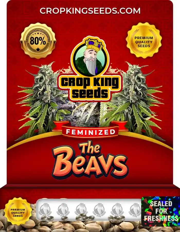 The Beavs Strain Feminized Marijuana Seeds