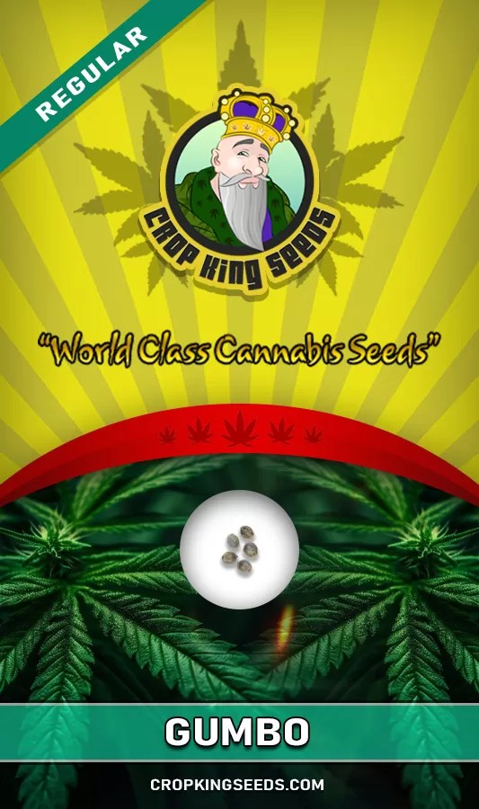 Gumbo Strain Regular Marijuana Seeds