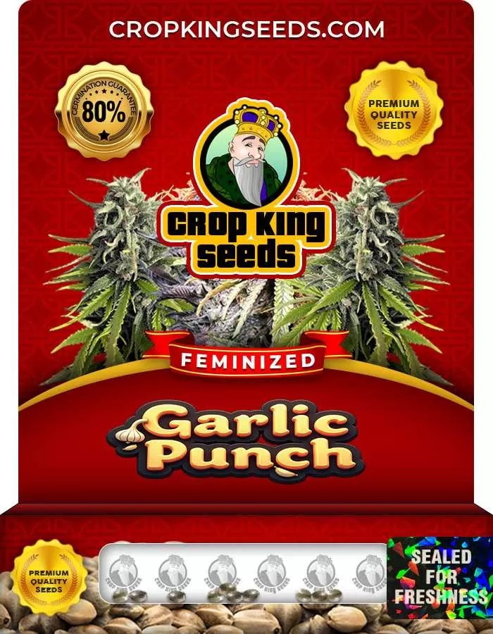 Garlic Punch Feminized Seeds