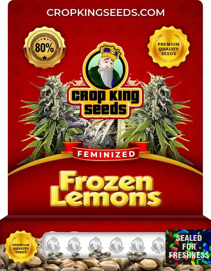 Frozen Lemons Strain Feminized Marijuana Seeds