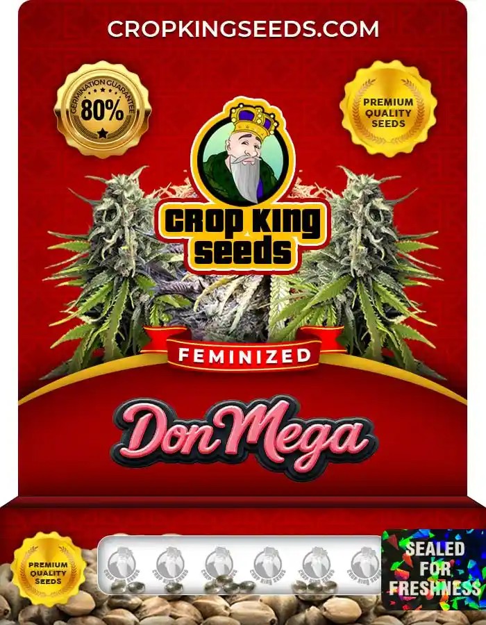 Don Mega Strain Feminized Marijuana Seeds