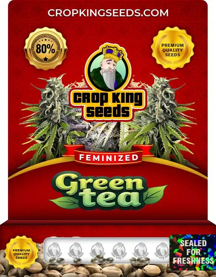 Green Tea Feminized Seeds