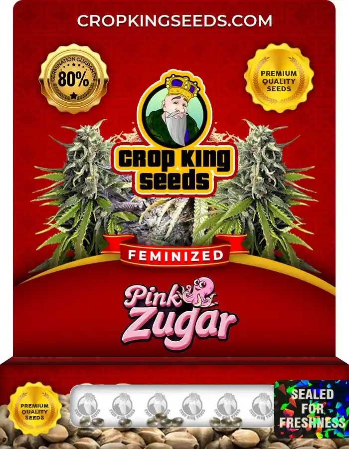 Pink Zugar Feminized Seeds