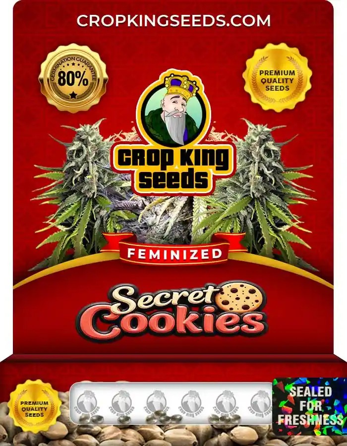 Secret Cookies Strain Feminized Marijuana Seeds