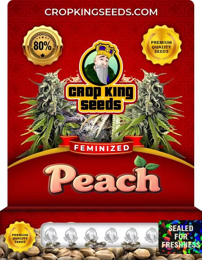 Peach Strain Feminized Marijuana Seeds