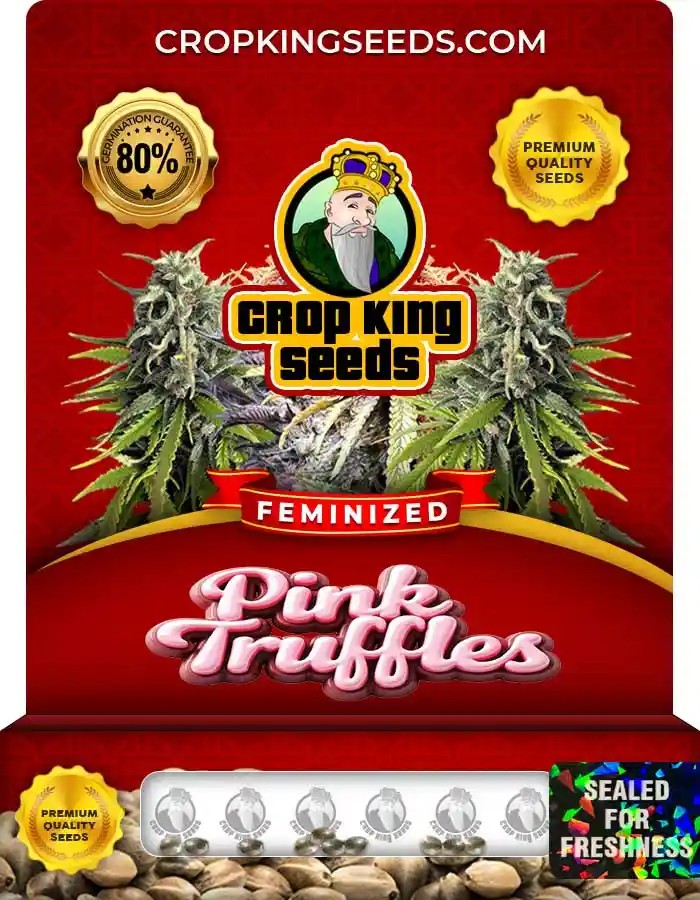 Pink Truffles Strain Feminized Marijuana Seeds