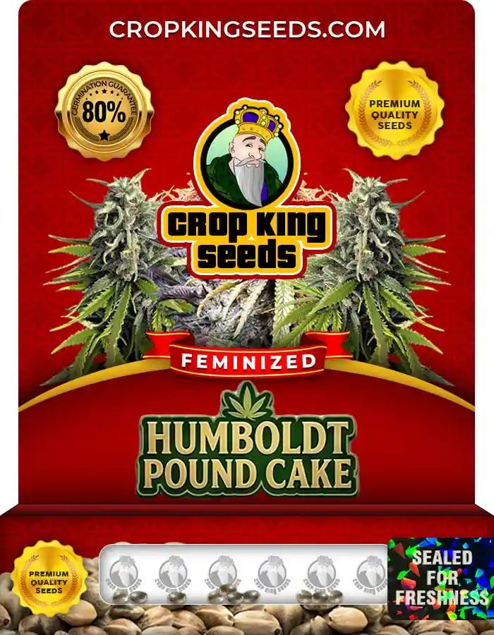 Humboldt Pound Cake Strain Feminized Marijuana Seeds