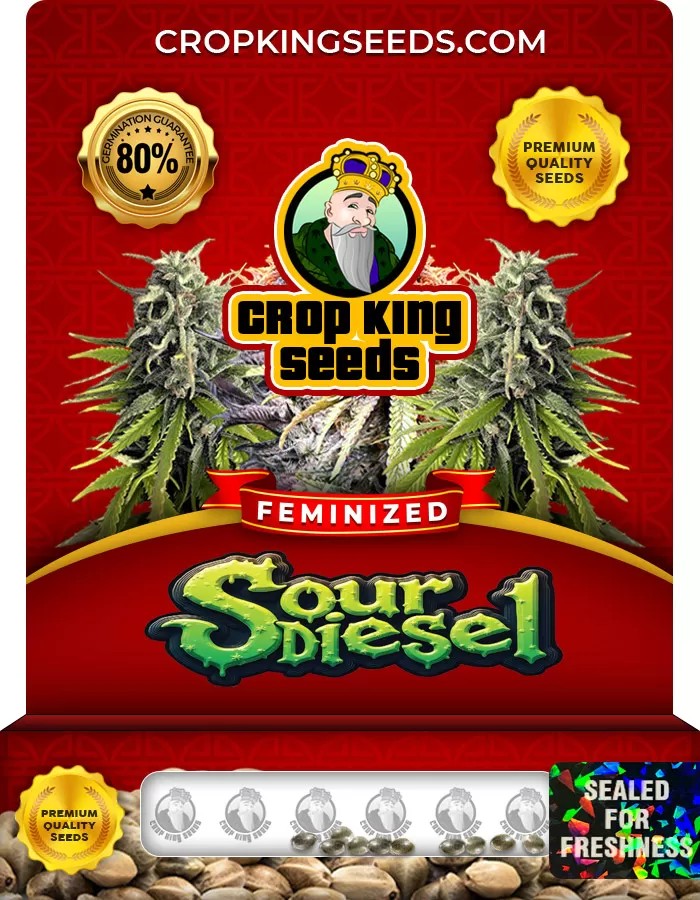 Sour Diesel Feminized Marijuana Seeds