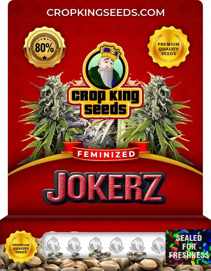 Jokerz Strain Feminized Marijuana Seeds