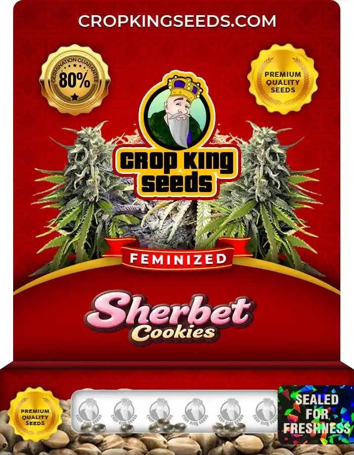 Sherbet Cookies Feminized Seeds