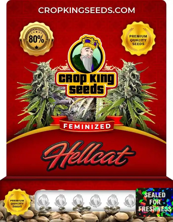 Hellcat Feminized Seeds