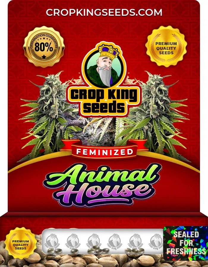 Animal House Strain Feminized Seeds