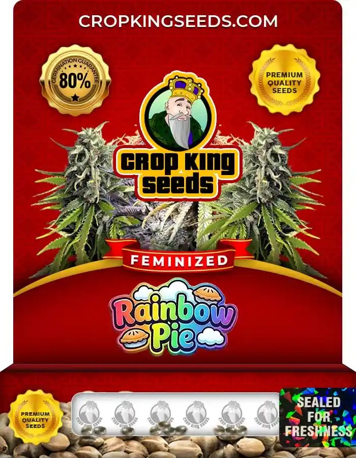 Rainbow Pie Strain Feminized Marijuana Seeds