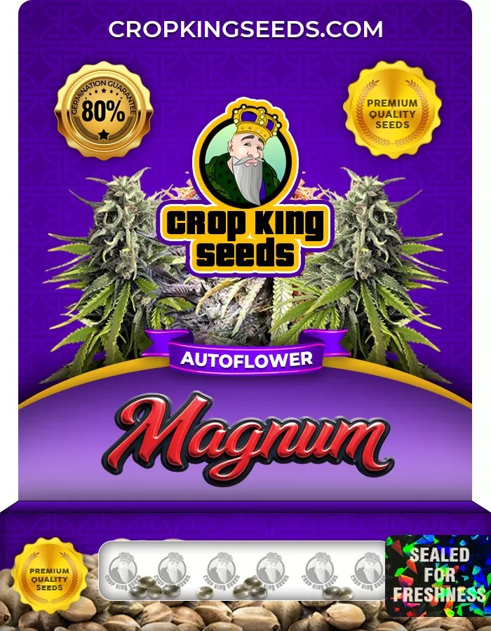 Magnum Autoflower Marijuana Seeds