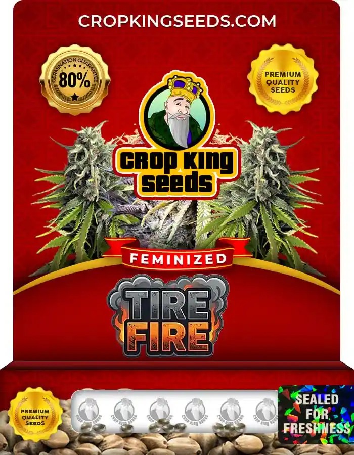 Tire Fire Strain Feminized Marijuana Seeds