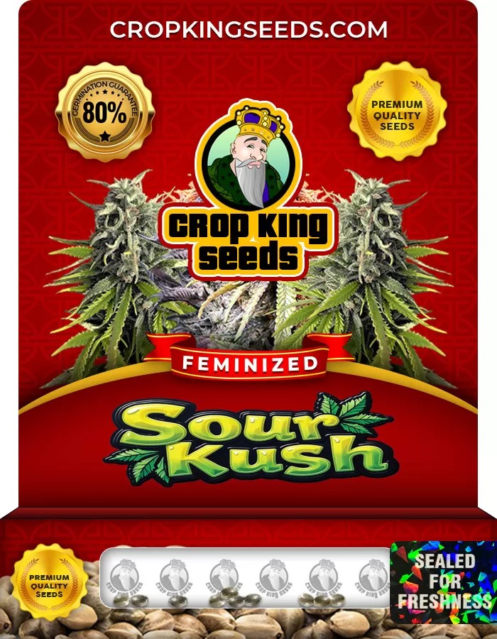 Sour Kush Feminized Marijuana Seeds