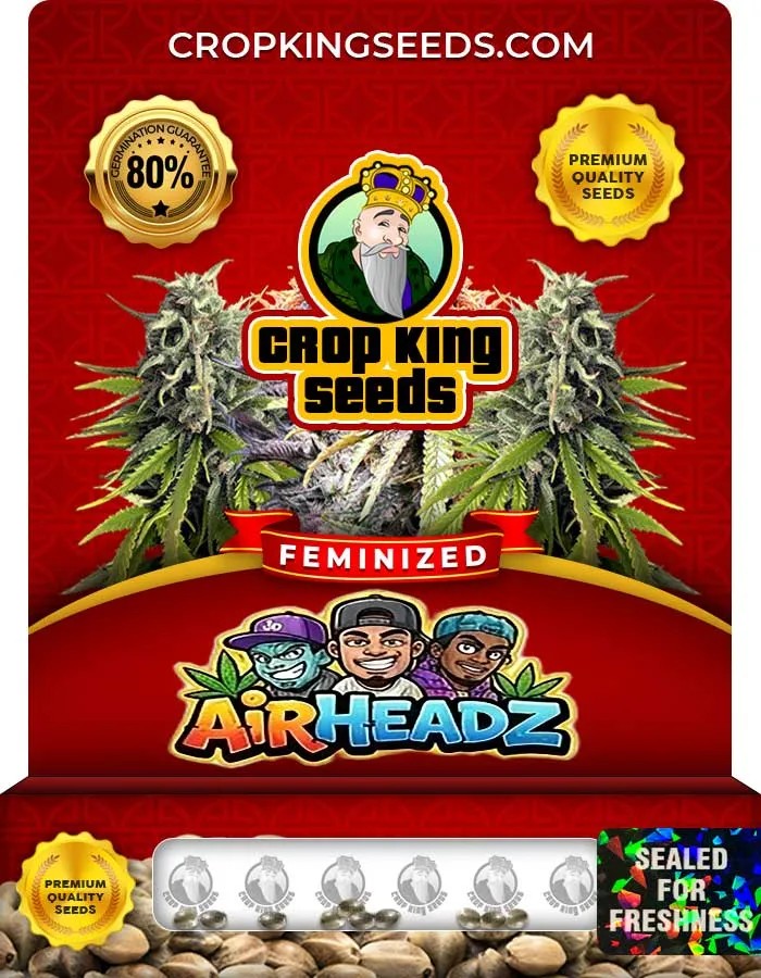 Airheadz Strain Feminized Seeds
