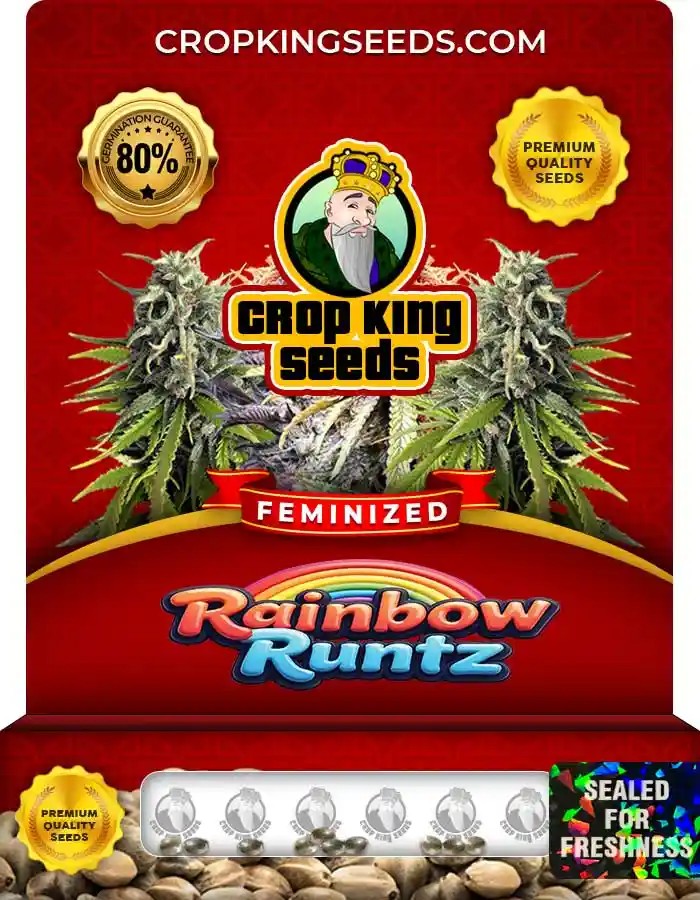 Rainbow Runtz Strain Feminized Marijuana Seeds