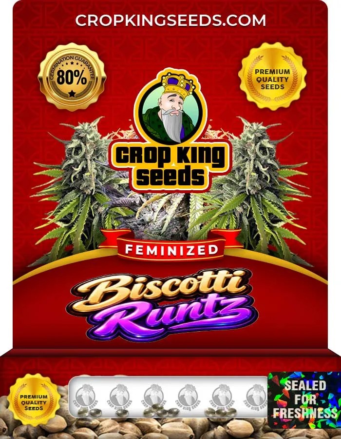 Biscotti Runtz Strain Feminized Seeds