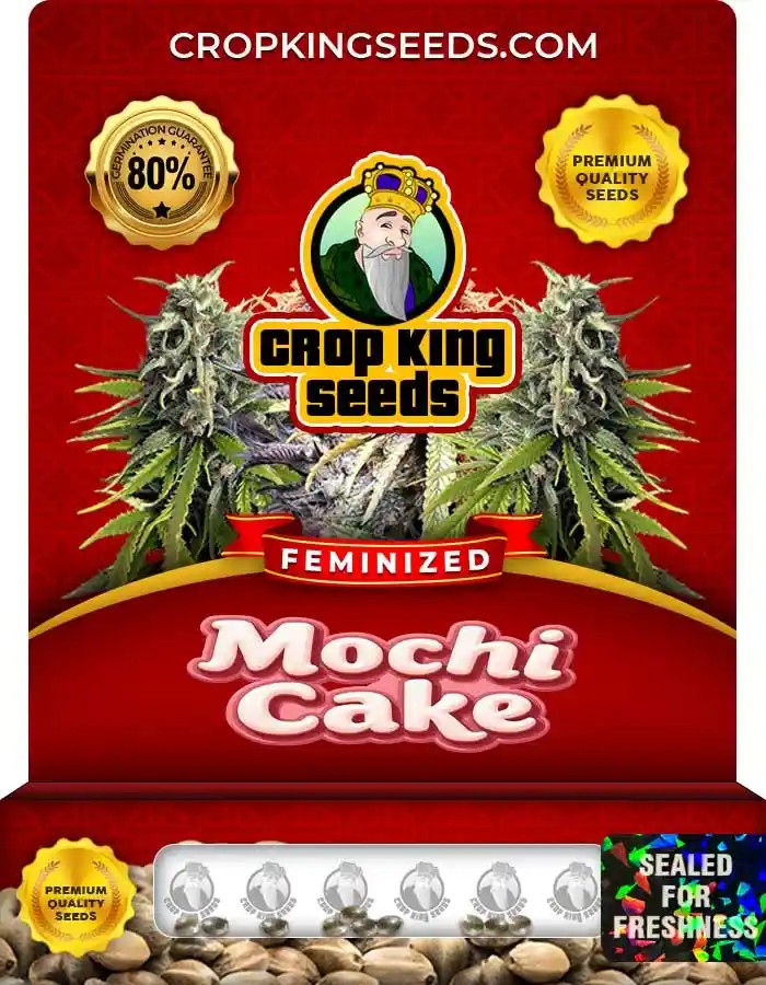 Mochi Cake Strain Feminized Marijuana Seeds