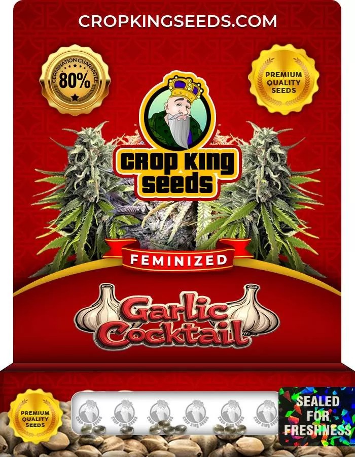 Garlic Cocktail Strain Feminized Marijuana Seeds