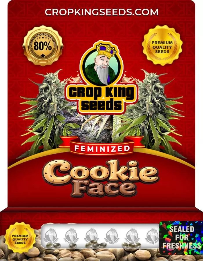 Cookie Face Strain Feminized Marijuana Seeds