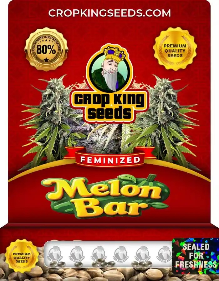 Melon Bar Strain Feminized Marijuana Seeds