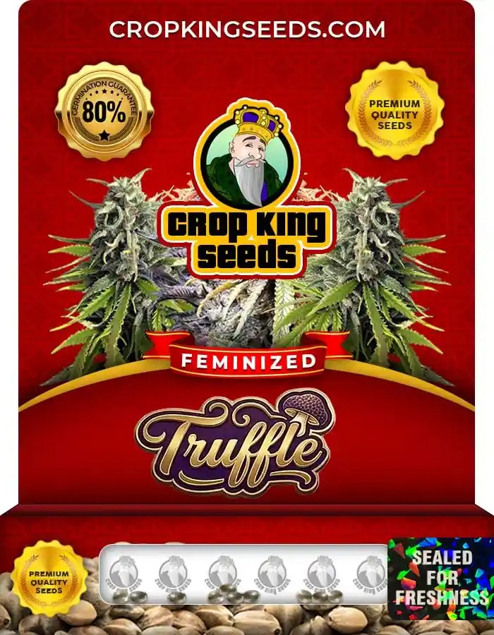 Truffle Strain Feminized Marijuana Seeds