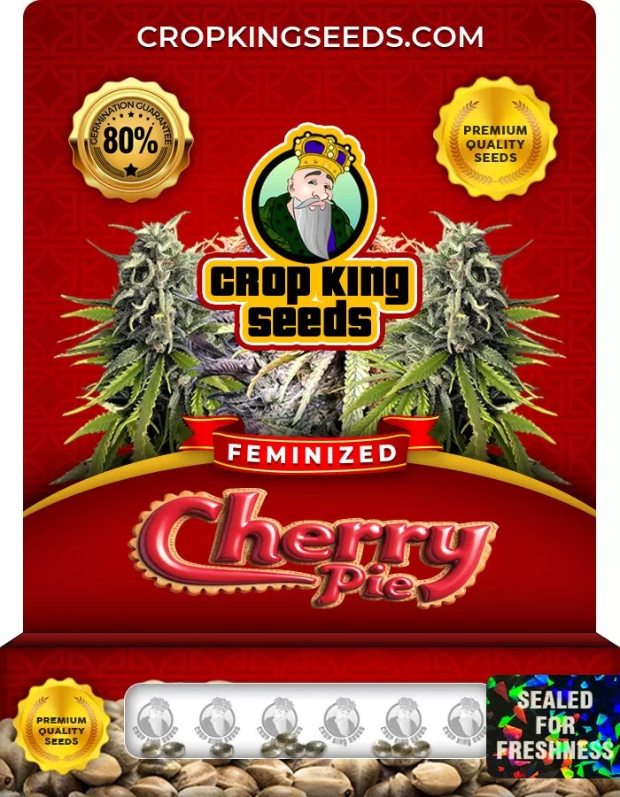 Cherry Pie Feminized Marijuana Seeds