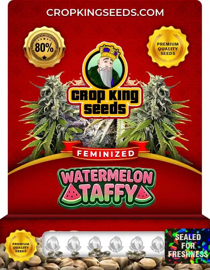 Watermelon Taffy Strain Feminized Seeds