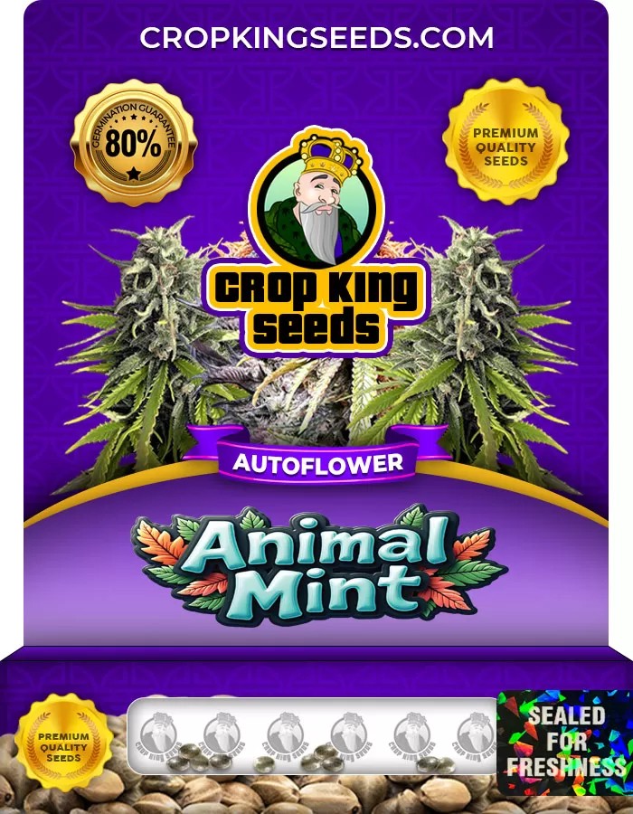 Animal Mint Autoflowering Marijuana Seeds