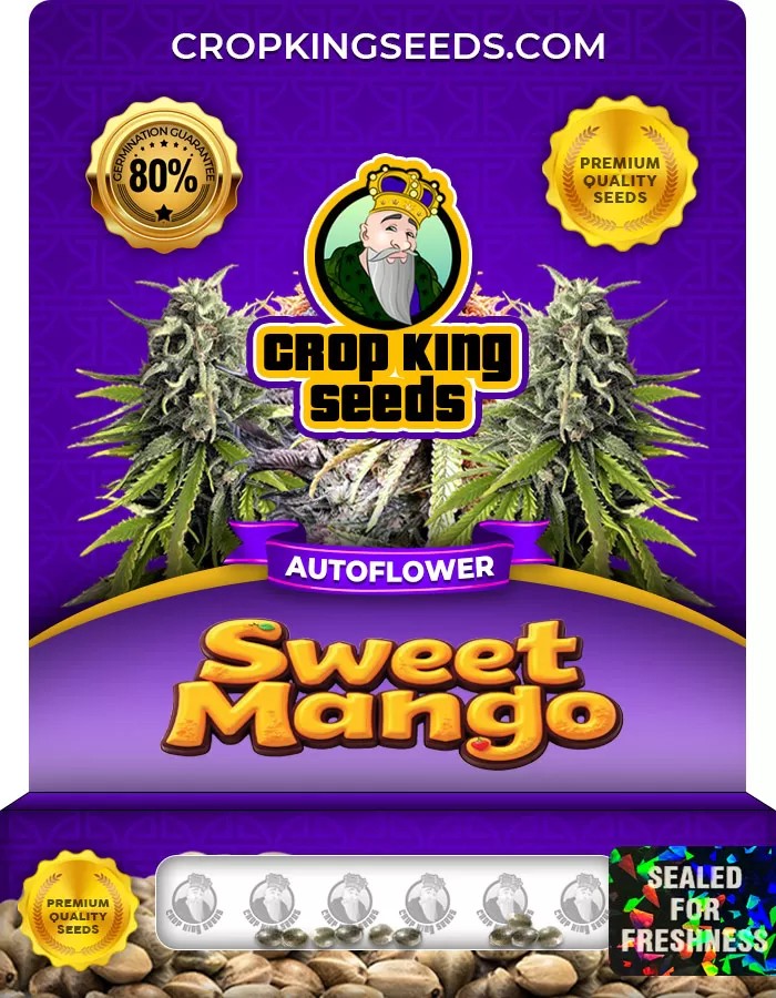 Sweet Mango Autoflower Marijuana Seeds