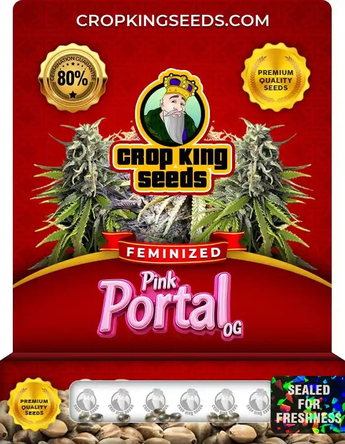 Pink Portal OG Strain Feminized Seeds