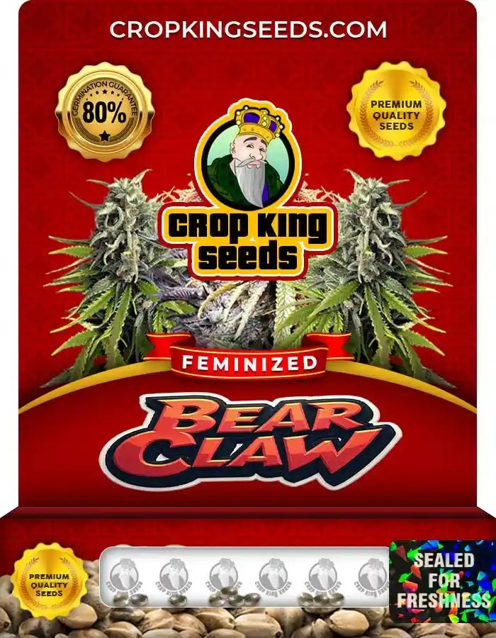 Bear Claw Feminized Seeds