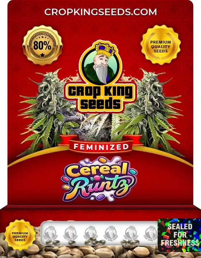 Cereal Runtz Strain Feminized Marijuana Seeds