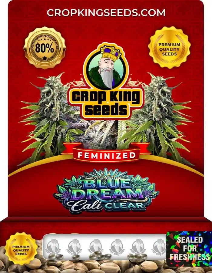Blue Dream Cali Clear Strain Feminized Seeds