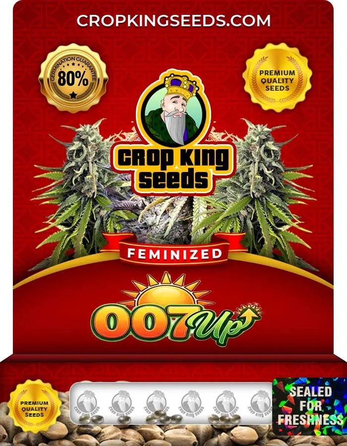 007Up Strain Feminized Seeds