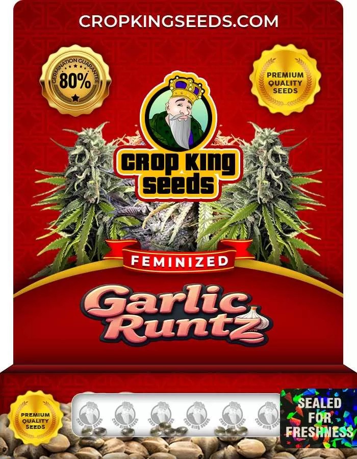 Garlic Runtz Strain Feminized Marijuana Seeds