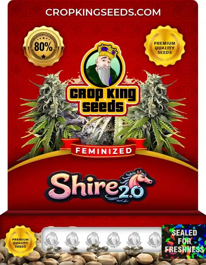 Shire 2.0 Feminized Seeds