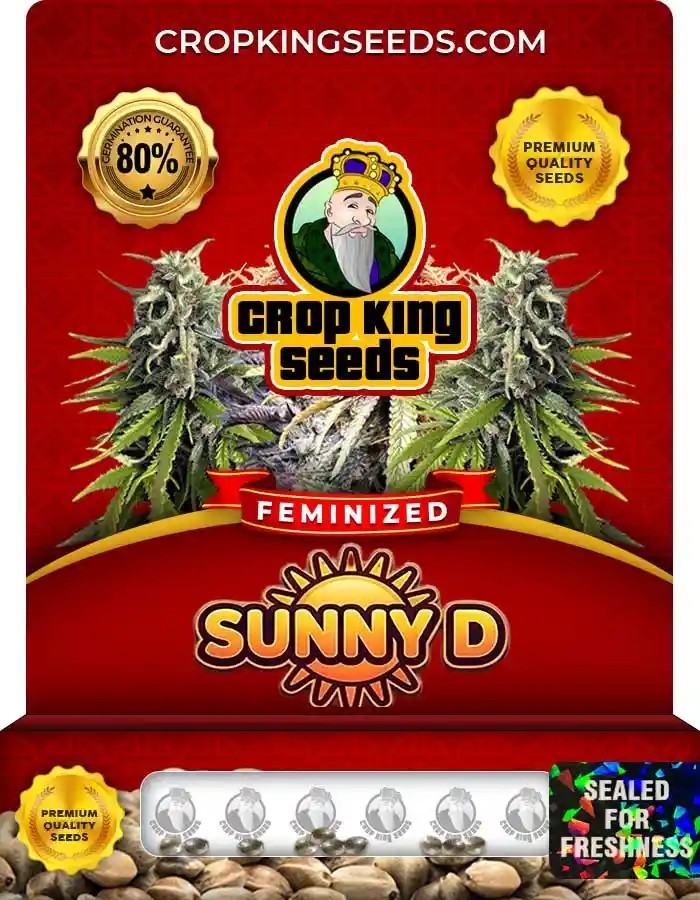 Sunny D Strain Feminized Marijuana Seeds