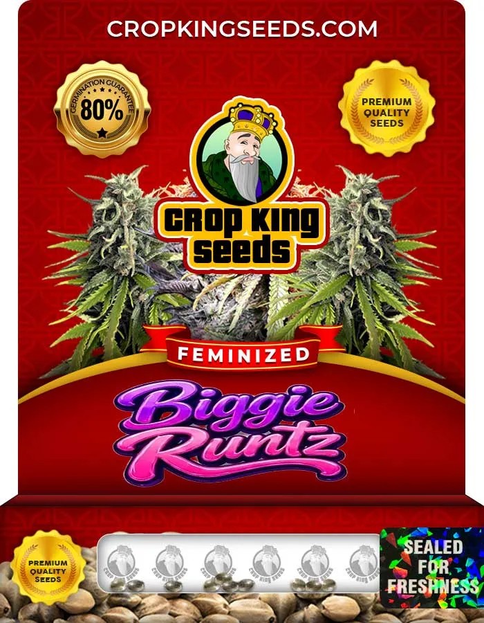 Biggie Runtz Strain Feminized Seeds