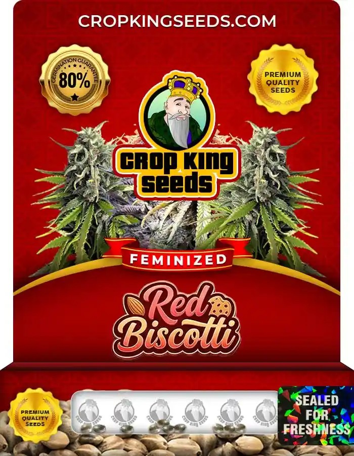 Red Biscotti Feminized Seeds