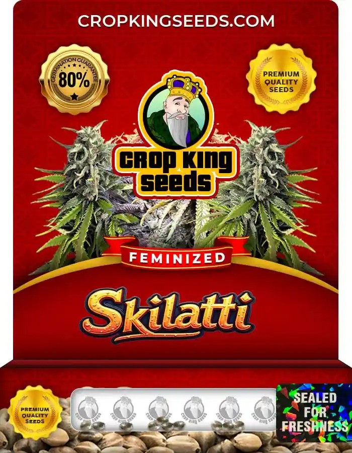 Skilatti Feminized Seeds