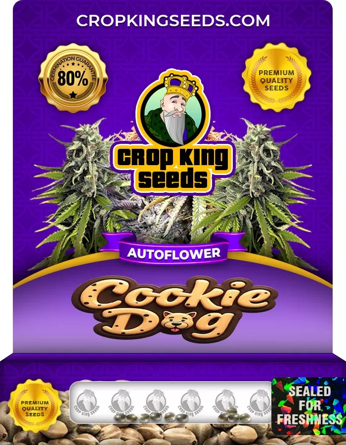 Cookie Dog Autoflowering Marijuana Seeds