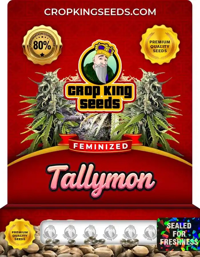 Tallymon Strain Feminized Marijuana Seeds