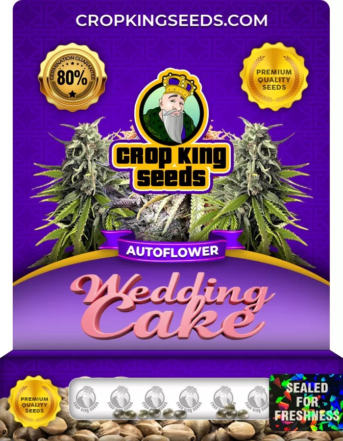 Wedding Cake Autoflower Marijuana Seeds